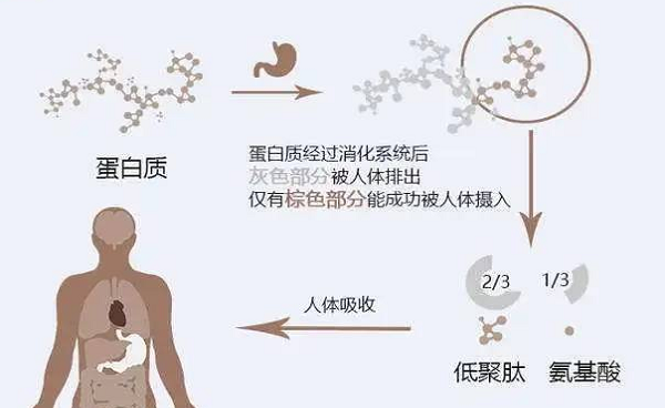 選擇離心濃縮儀時應(yīng)該注意哪些事項呢？